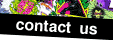  [ contact ] 