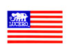 John Lucero - Flag